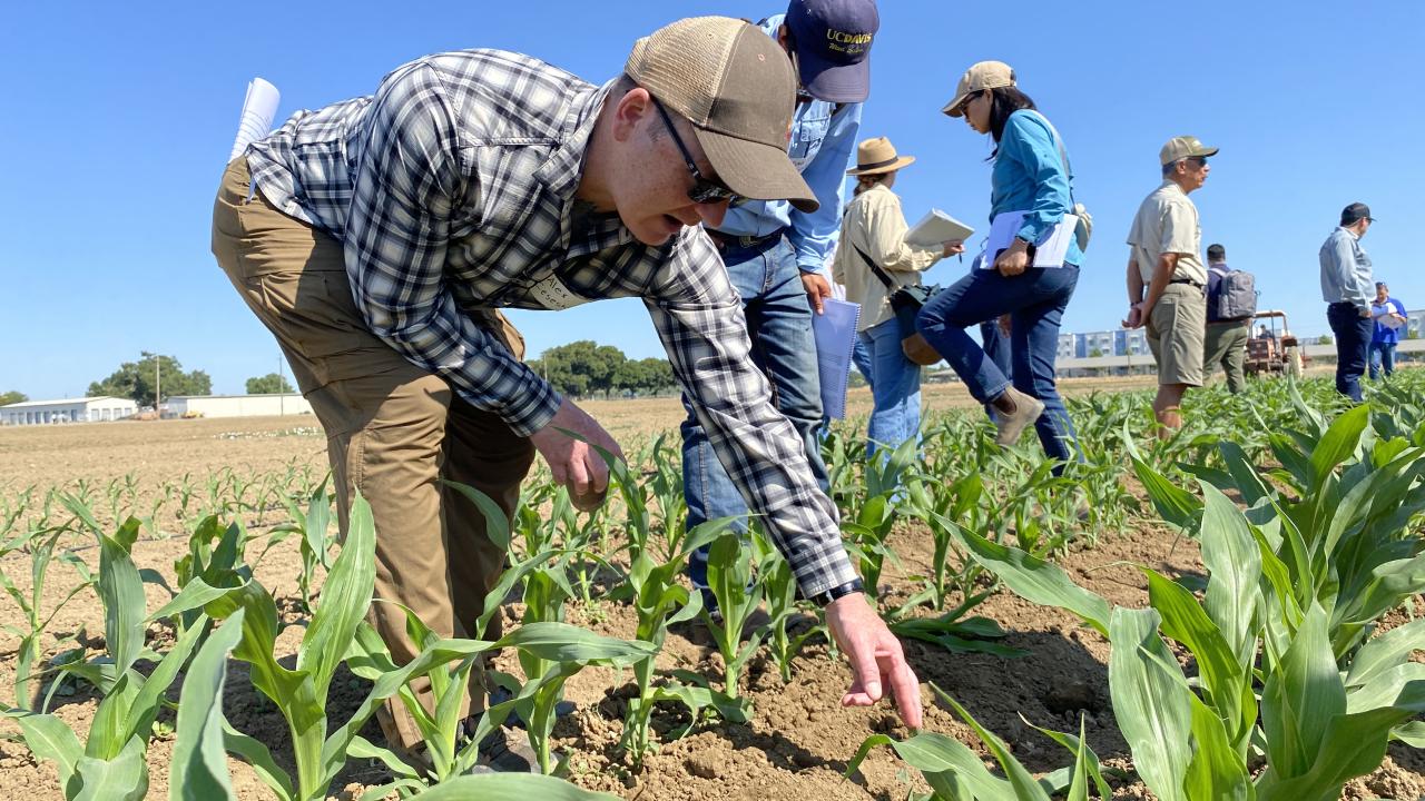 Participants of Weed Day 2026 labeling types of weeds in a field.
